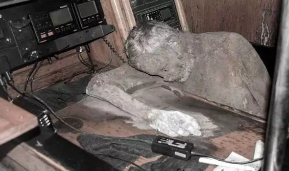 17張讓人「知道死神是長什麼樣子」的衝擊心靈照