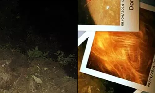 17張讓人「知道死神是長什麼樣子」的衝擊心靈照