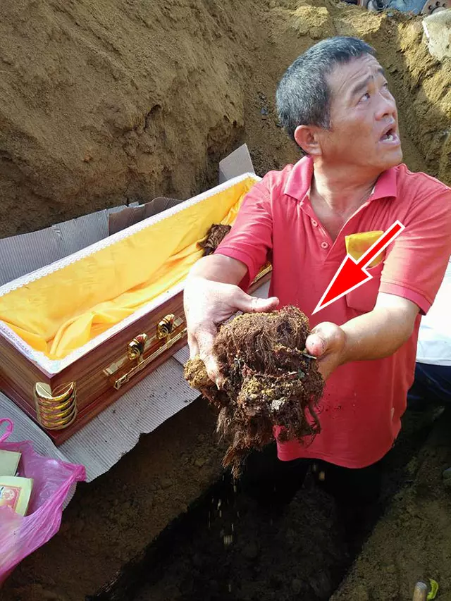 子孫相繼去了...法師告訴他「祖先成蔭.屍啃食陽氣」 開挖祖墳發現「乾屍已經長牙還冒頭髮!」
