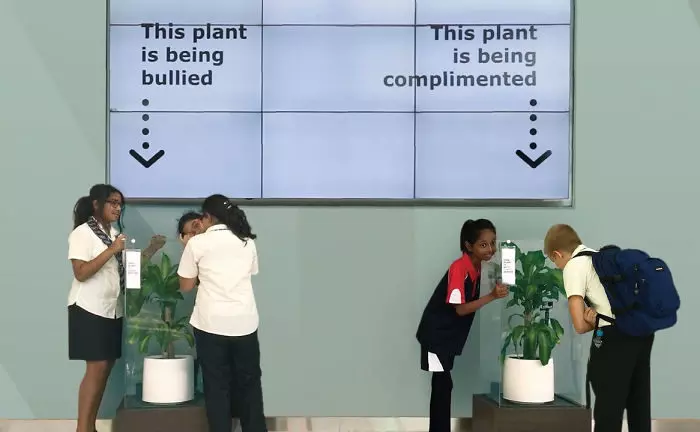 IKEA實驗讓2株植物分別被罵、被讚美 「30天後植物變化」讓大家上了震撼一課!