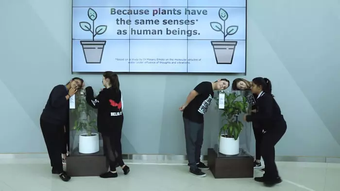 IKEA實驗讓2株植物分別被罵、被讚美 「30天後植物變化」讓大家上了震撼一課!