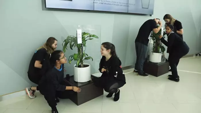 IKEA實驗讓2株植物分別被罵、被讚美 「30天後植物變化」讓大家上了震撼一課!
