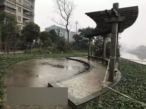 9歲童弄丟手機,遭母捆綁毒打5小時致死