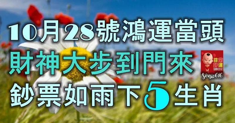 10月28號鴻運當頭,財神大步到門來,鈔票如雨數不清的5生肖!