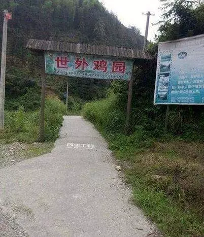 搭車看見「這一幕」,我趕緊拿手機拍下這「美麗的一刻」!真相卻沒你想像的那麼單純!