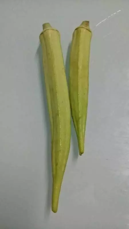 羊角豆這樣吃!血糖從12.7點降到5.4點!網友分享親身體驗!一定要給爸媽知道!