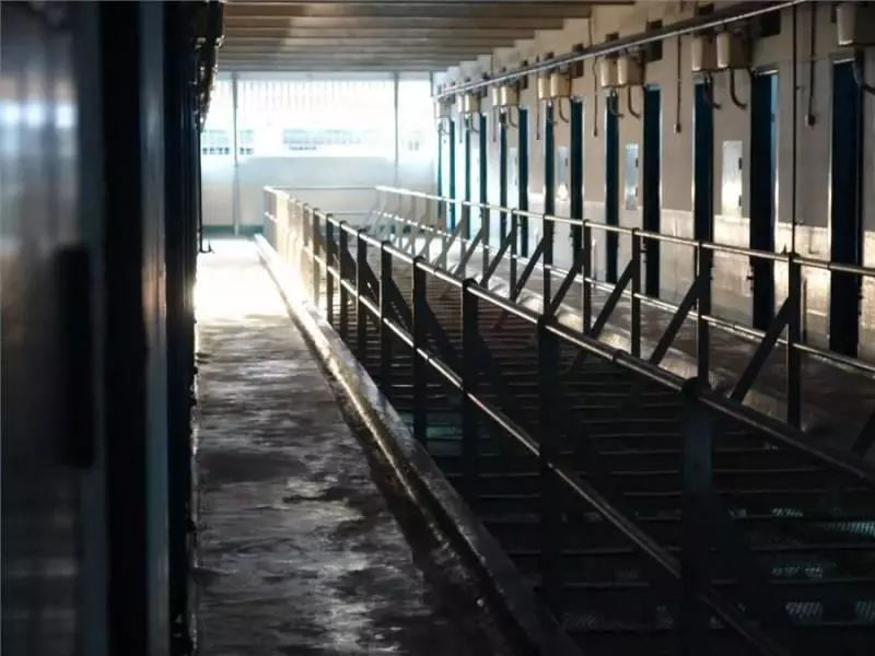 揭秘新加坡監獄生活,從「罪犯」的衣食住行上廁所開始!