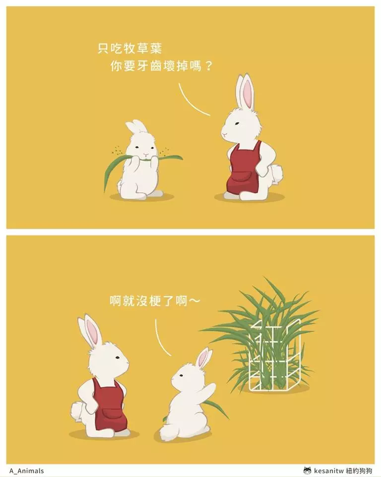 台灣出品!超萌16張動物漫畫 樹懶上班的煩惱:今天又遲到了...