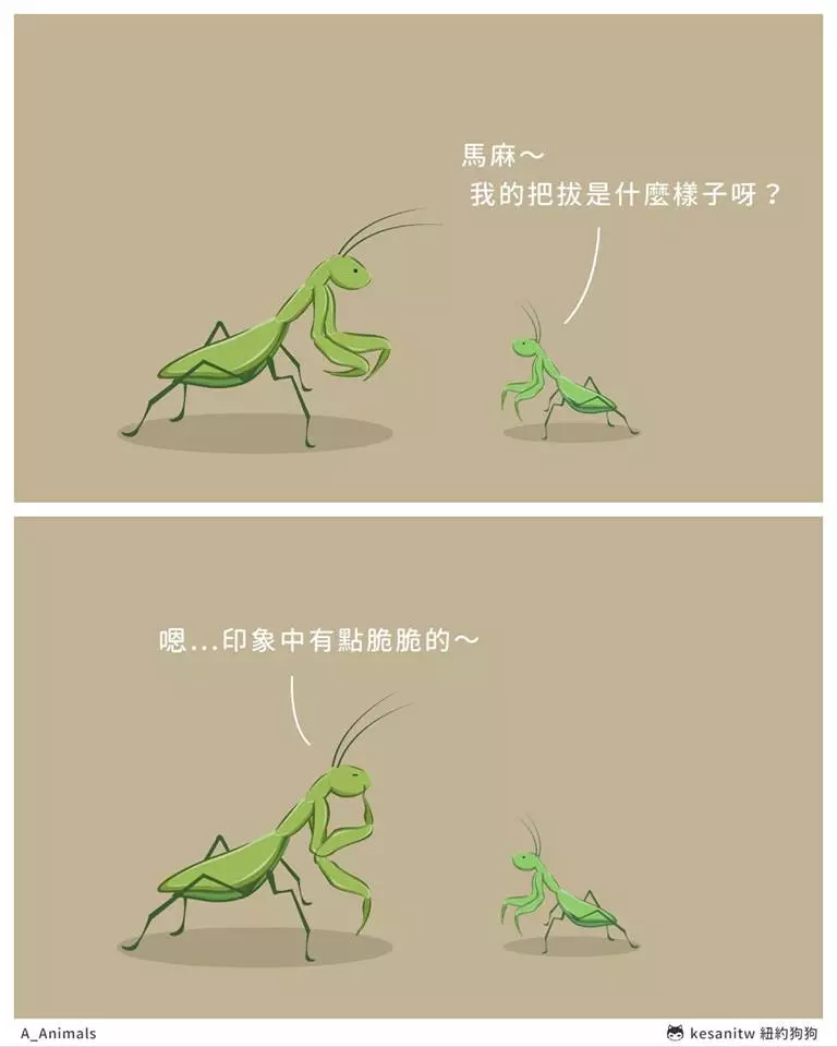 台灣出品!超萌16張動物漫畫 樹懶上班的煩惱:今天又遲到了...