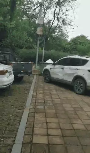 身上95萬現金趕發薪水 駕駛倒車「連撞11下」門都凹了...