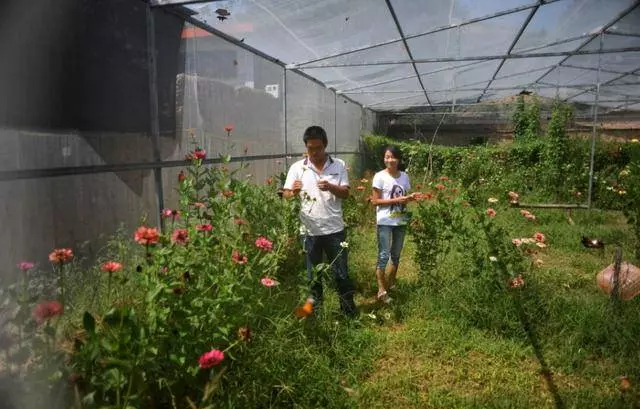 兒子中風住院,晚上兒媳房間傳出男人聲音,婆婆走近一聽淚流不止