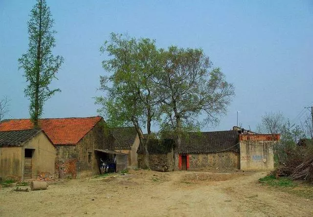 兒子中風住院,晚上兒媳房間傳出男人聲音,婆婆走近一聽淚流不止