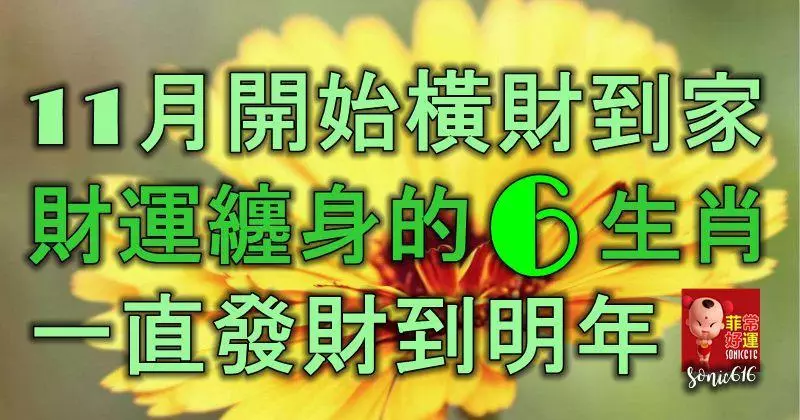 11月開始橫財到家,財運纏身的6生肖,一直發財到明年!