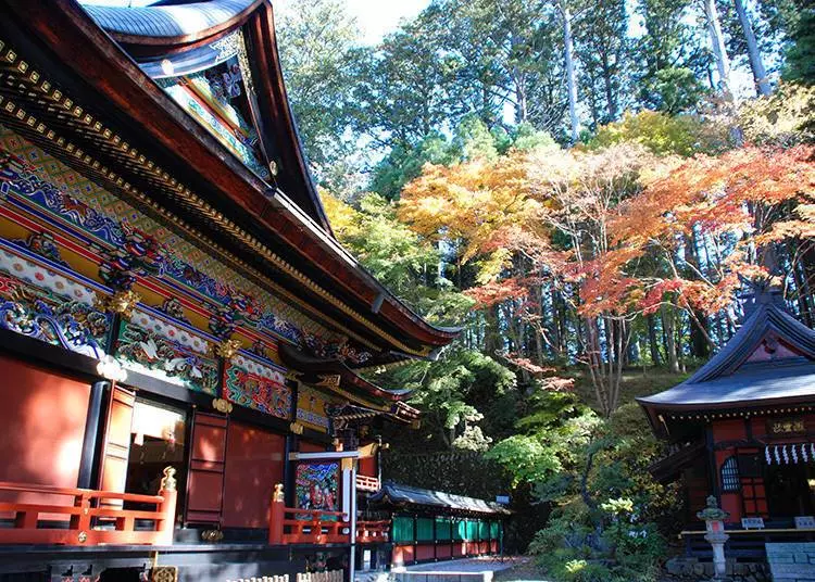 東京賞楓就到「秩父」吧!一小時抵達的絕美大自然景點 隨手一拍都是IG美照!