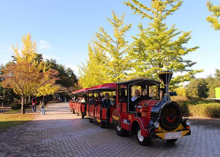 東京賞楓就到「秩父」吧!一小時抵達的絕美大自然景點 隨手一拍都是IG美照!