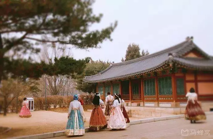 這40張絕美照片,告訴你為什麼要去韓國