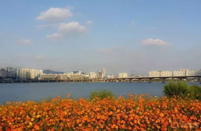 這40張絕美照片,告訴你為什麼要去韓國
