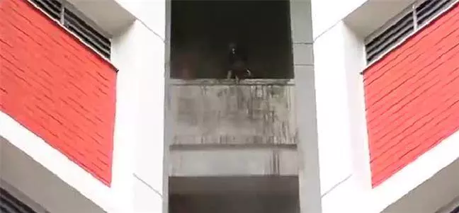 震驚:新加坡淡賓尼兇殺案!中國男子搬來2個小時就殺了人!