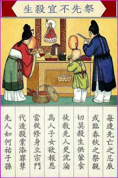 《重要!根據經論》喜宴中殺害的眾生,其罪過全由新郎、新娘承擔!〈戒殺素食〉