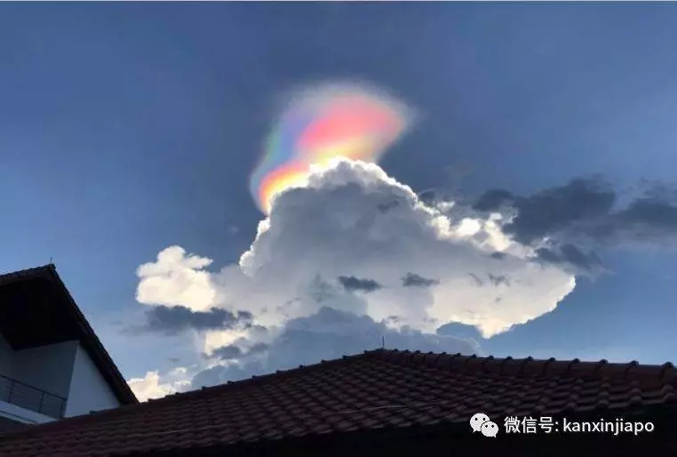 「龍吸水」 現身新加坡金沙旁邊海上 !