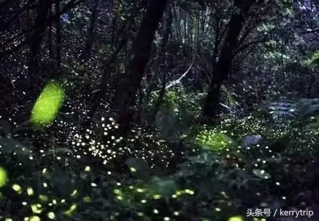 北緯1°藏著個迷人海島,人少水清好玩還免簽,離新加坡還很近 !