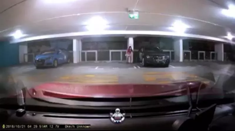 【新加坡】女子帶廁紙停車場 竟然掀裙子脫下褲子 隨地「解放」 被拍到 !