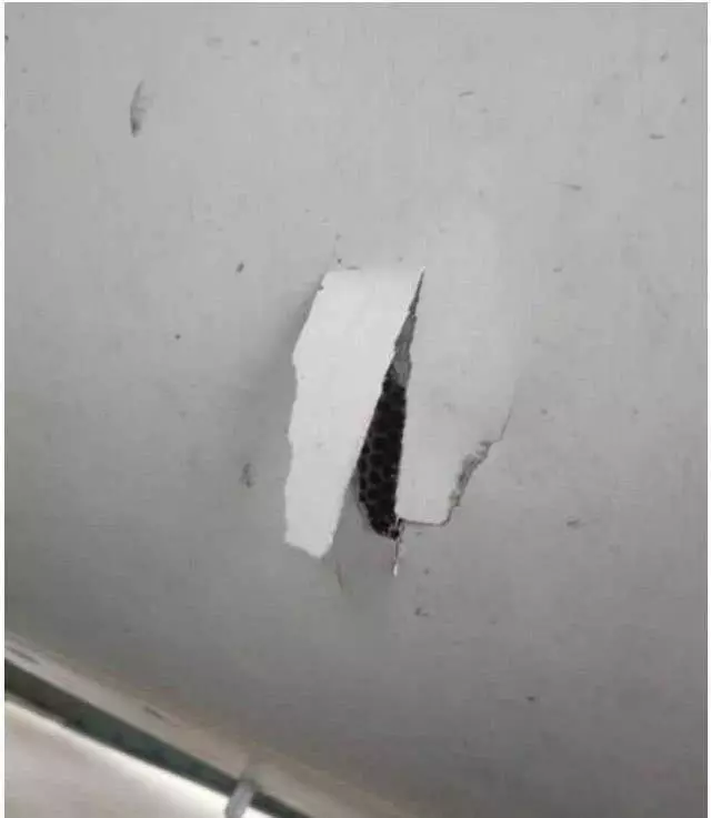馬航上海飛吉隆坡客機左起落架爆胎,中斷起飛!