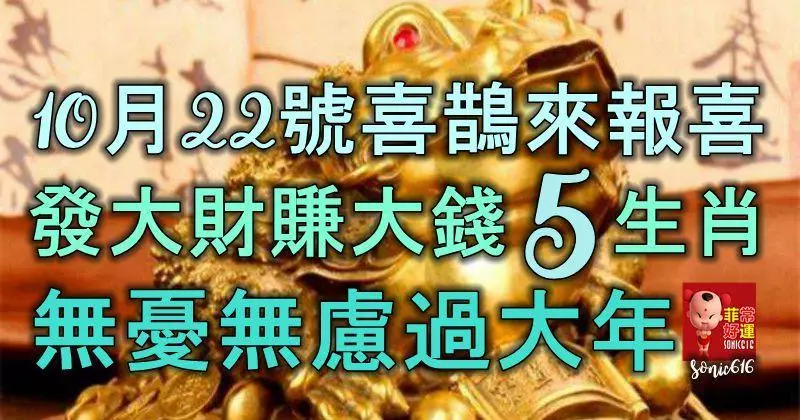10月22號喜鵲來報喜,發大財賺大錢的5生肖,無憂無慮過大年!