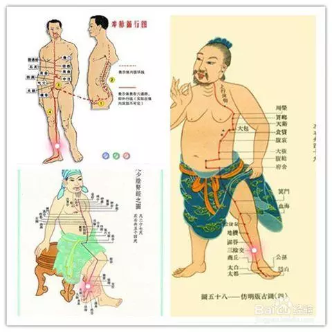 什麼是經絡?拍打經絡有什麼好處?