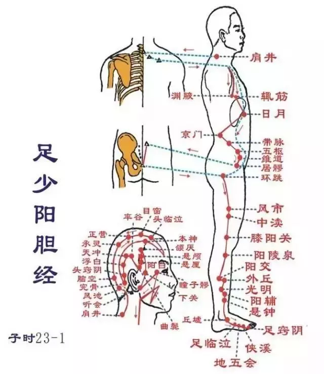 什麼是經絡?拍打經絡有什麼好處?