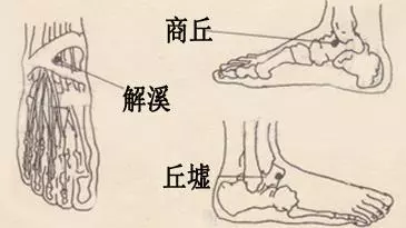 [每日一穴：解溪穴]