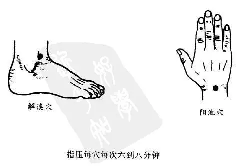 [每日一穴：解溪穴]