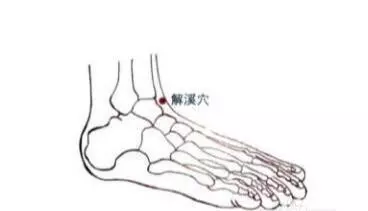 [每日一穴：解溪穴]