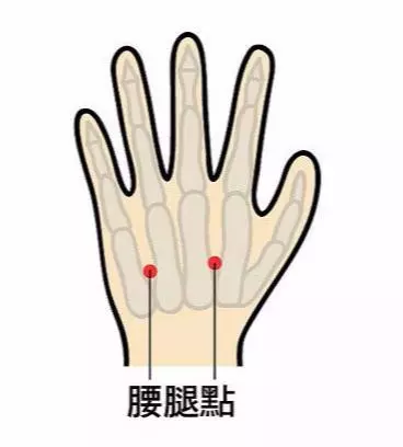 坐骨神經痛、便秘、經痛按這邊!中醫說:7個緩腰痛穴位