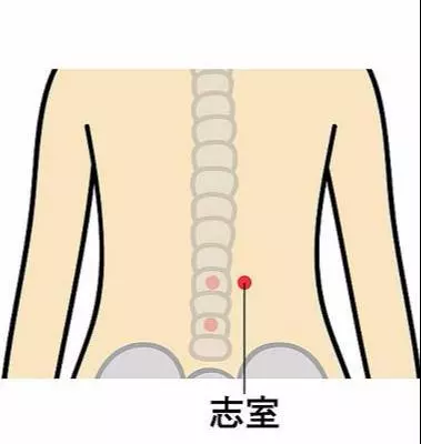 坐骨神經痛、便秘、經痛按這邊!中醫說:7個緩腰痛穴位