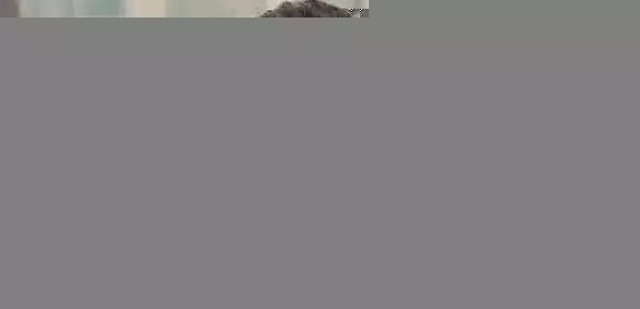 56歲羅嘉良近照:與前妻離婚卻能一桌吃飯,女兒驚艷兒子不像他!