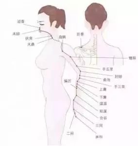 明白大腸經及大腸經的作用,快收了吧!
