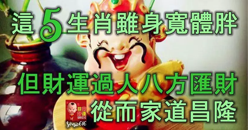 這5大生肖雖然身寬體胖,但財運過人,八方匯財,從而家道昌隆!