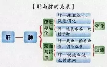 百病從肝治:肝臟保健方法彙總,收藏吧!