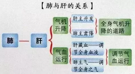 百病從肝治:肝臟保健方法彙總,收藏吧!