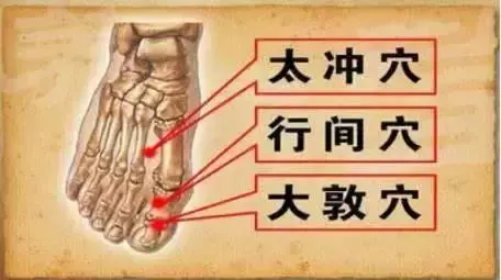 百病從肝治:肝臟保健方法彙總,收藏吧!