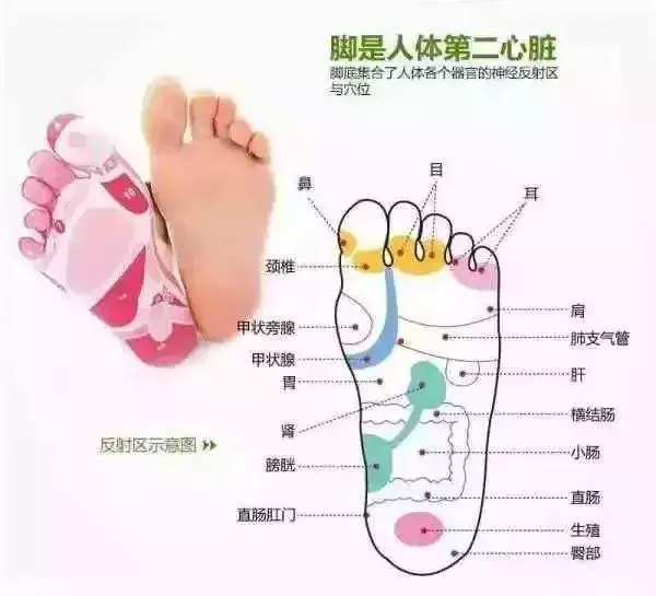 快看看自己的腳,有這三個特徵的注意了!你可能比其他人…