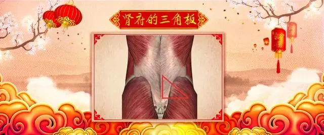 那些您錯過的穴位——暖腰固腎