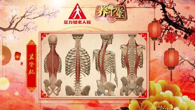 那些您錯過的穴位——暖腰固腎