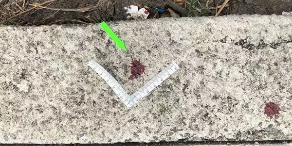 前女友輕生 前男友到殯儀館砍現任