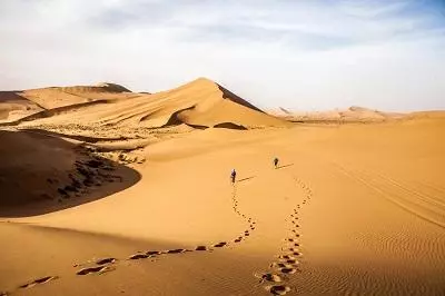 海水為什麼不會把噴涌的海底火山撲滅?沙漠綠洲又是怎麼回事?
