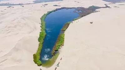 海水為什麼不會把噴涌的海底火山撲滅?沙漠綠洲又是怎麼回事?