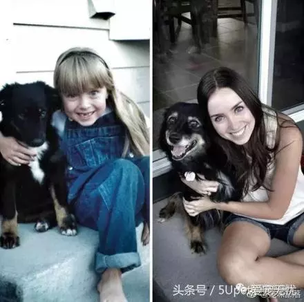 小狗與主人十年照片對比,我長大了,它變老了;滿滿的都是感動