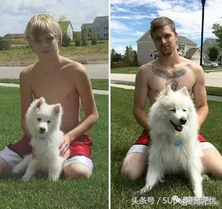 小狗與主人十年照片對比,我長大了,它變老了;滿滿的都是感動