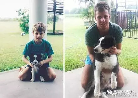 小狗與主人十年照片對比,我長大了,它變老了;滿滿的都是感動